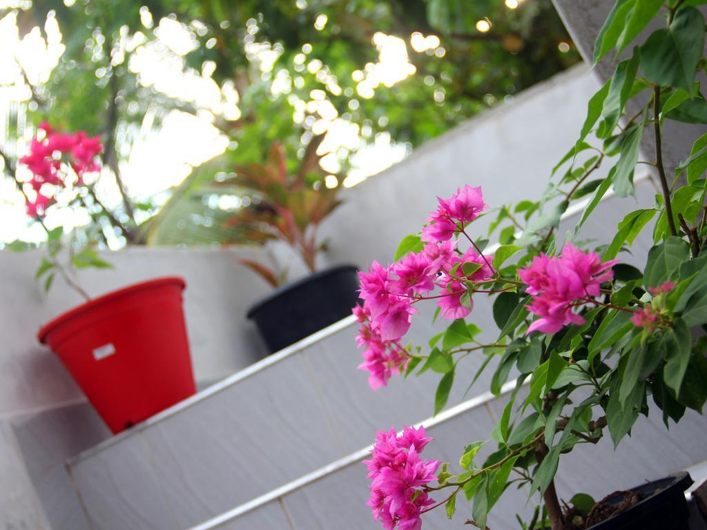 Moon Glow Guest Mirissa Exterior photo